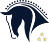 Logo van CSI Eindhoven