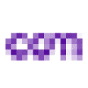 Logo Digital Systems and Services Netherlands - DSS NL
