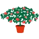Logo Kwekerij Souman
