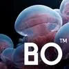 Logo van Branded Organisms™