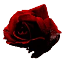 Logo JustSimy