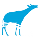 Logo van Oqapi Software