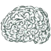 Logo van Neurogen Brain Balancing Netherlands