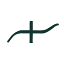 Logo Studio Connect and Bloom