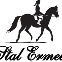 Logo van Stal Ermelo