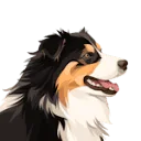 Logo van Hond AND Balans