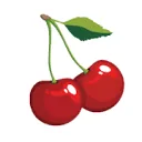 Logo van FRUIT QUEEN BV