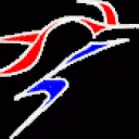 Logo van VSN Vereniging ter bevordering van de Schermsport in Nederland