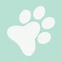 Logo van Pets4Care natuurlijke en dierbare ontmoetingen