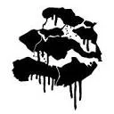 Logo van Zeelandgraffiti.nl