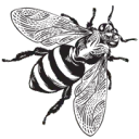 Logo van HIVEPOP B.V.