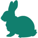 Logo van Dierenkliniek Amsterdam