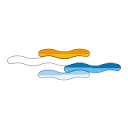 Logo van Koninklijk Nederlands Watersportverbond
