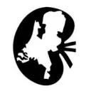 Logo van Dutch Kidney Transplant Study Group