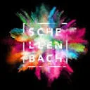 Logo van Schellenbach B.V.