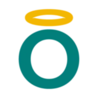Logo BinSoft B.V.
