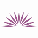 Logo Queesten Boekproducties