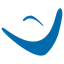 Logo COAS Software Systems