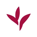 Logo Delphy