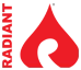 Logo Radiant Systems BV
