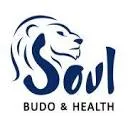 Logo van Soul Budo AND Health