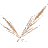 Logo van Van Den Berg Rietdekkers
