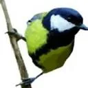 Logo van MODERNEBOEKHOUDER.NL®
