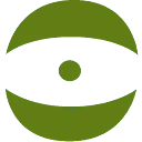 Logo Golf vision