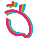 Logo van Nederlands Hart Netwerk