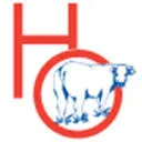 Logo Hogeslag Olst B.V.
