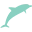 Logo van Dolphin Academy Curaçao