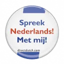 Logo van Direct Dutch Institute