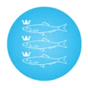Logo van Stichting Omroep Scheveningen