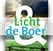 Logo van Licht AND de Boer
