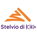 Logo van Supporto Infinito