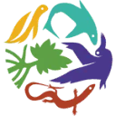 Logo van Nature Foundation Sint Maarten