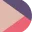Logo DomusSoft Project Intelligence