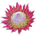 Logo van S.A.T.I.N.
