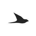 Logo Ekster®