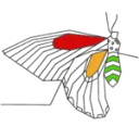 Logo van Zen in transition