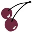 Logo Cherridata