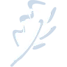 Logo van Boomkwekerij Coonen