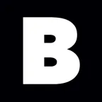 Logo van Brink Group