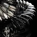 Logo van ALBERT KIEFER