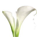 Logo van Fornet