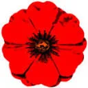 Logo van Stichting Hart voor Zorg en Welzijn