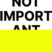 Logo van Not Important Studio