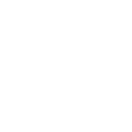 Logo van Dutchwebs.com