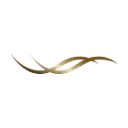 Logo van Permanent Mooi