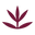 Logo van Dore Rooibos Cosmetics